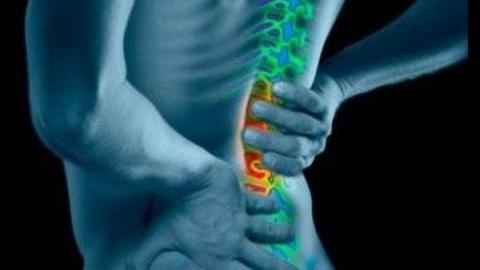 9 حقائق لا تعرفها عن عمودك الفقري 9 حقائق لا تعرفها عن عمودك الفقري